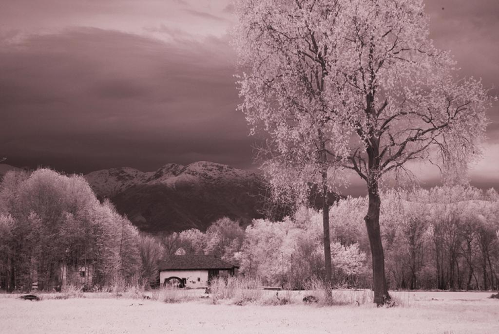 Il Vecchio Mulino Di Bairo Konuk evi Dış mekan fotoğraf